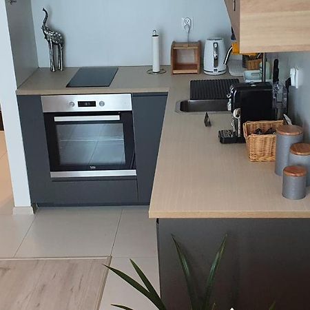 Apple Apartments - Mickiewicza Prywatne Miejsce Parkingowe Łódź Kültér fotó