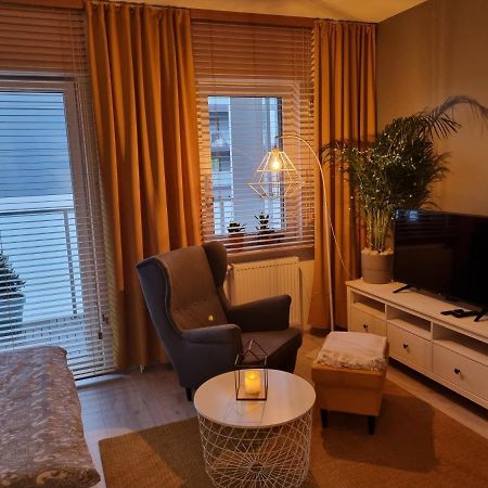 Apple Apartments - Mickiewicza Prywatne Miejsce Parkingowe Łódź Kültér fotó